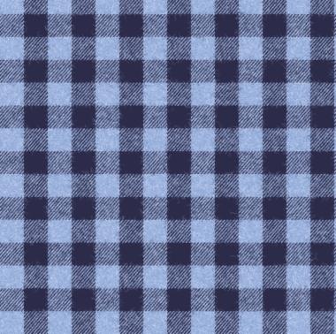 GR00246-42877-00002