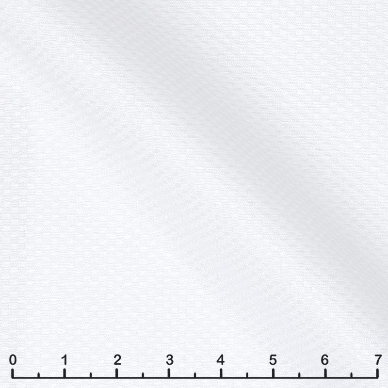 3090-W3172-0101